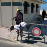 Sunny Day at the Beach With People and Dogs Children playing near beachside building.
