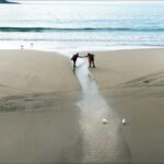 Couple Walking Hand in Hand on Serene Beach Couple holding hands walking on sandy beach near ocean waves and seagulls.