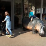 Boy Playing on Hippo Statue Near City Café Child playing on hippo statue near café with woman and stroller in urban scene.