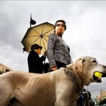 Woman and Dog With Tennis Ball on City Street Woman with dog holding tennis ball on urban city street under cloudy sky.