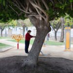 Elderly Woman Exercising on Fitness Equipment in Park Elderly woman exercising on outdoor fitness equipment under a large tree in a park.