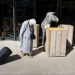 Elderly Woman Passing Zebra Outside Quirky Urban Shop Elderly woman with suitcase walking past realistic zebra outside quirky urban shop.