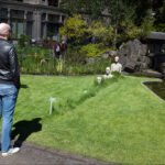 Man Viewing Sculptural Heads in Tranquil Garden Setting Man viewing white head sculptures in garden art installation surrounded by greenery and sunlight.