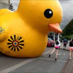 Giant Inflatable Rubber Duck Brings Fun to City Street Giant inflatable yellow rubber duck on city street with people enjoying festival.