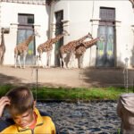 Children Watching Giraffes at Zoo Exhibit Fountain Children watching giraffes at zoo exhibit near mural and fountain.