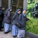 Nuns Viewing Gorilla Mural at Zoo Exhibit Nuns and visitors observing gorilla mural at zoo wildlife exhibit.