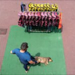 Man Playing With Dog Near Life Jackets Outdoors Man playing with dog on green turf near life jackets at water sports area.