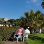 Garden Ceremony Gathering With Guests and City Backdrop Outdoor garden ceremony with guests, palm trees, red berry bushes, and city backdrop.