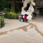 Child Exploring Near Lion Statue at Zoo Park Child with stroller near zoo lion statue in park with family and greenery.
