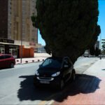 Sunny Urban Street With Parked Cars and City Shops Urban street with parked cars, beauty salon storefront, tall buildings, and tree shade.