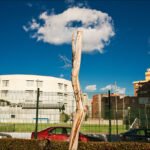 Weathered Tree Trunk Against Urban Skyline Weathered tree trunk in urban cityscape with sports field and modern buildings.