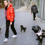 Woman Walking Dogs on Vibrant City Street Woman walking dogs on busy city street with people, shops, and black dog statue.