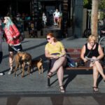 Women Relaxing With Dogs at Sunny Outdoor Café Women relaxing with dogs at outdoor café bench in sunny urban community setting.