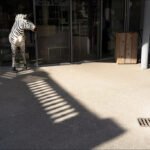 Life-Size Zebra Sculpture Outside Storefront Display Life-size zebra sculpture outside storefront with stroller and playful animal decor.