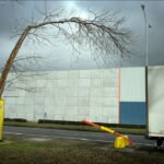 Leaning bare tree beside industrial warehouse with gray sky and yellow portable restroom.